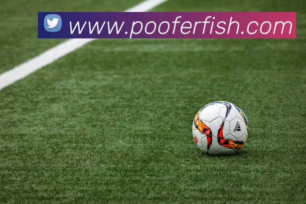 赛事专题整合